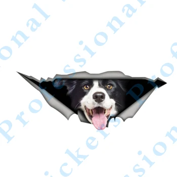 3D Hayvan 13x6. 4 Boston Terrier Etiket Yırtık Metal Vinil Çıkartması Güzel Araba Çıkartmaları Motosiklet Gövde Hayvan 3D Araba Styling