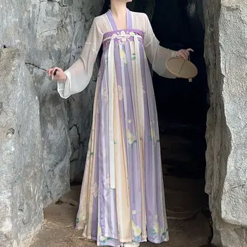 Tang Hanedanı Hanfu Elbise Seti Kadın Çin Tarzı Retro Çiçek Baskı Prenses Sahne Kostüm Geleneksel Kadınlar Zarif Uzun Elbise