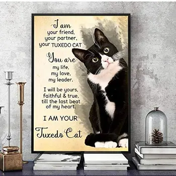 Teneke İşaretleri Vintage Komik Siyah Kedi Tabela Kedi Sevgilisi Hediye Vintage Komik Kedi Çılgın Kedi Bayan noel ev dekoru Modern Duvar Sanatı