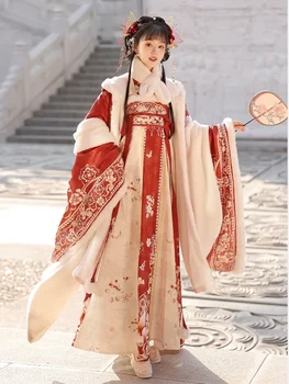 Çin Geleneksel Kostüm Antik Prenses Kış Göğüs Uzunluğu Elbise Kış Tang Hanedanı Tarzı Hanfu